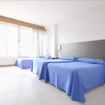 Safari Hotel